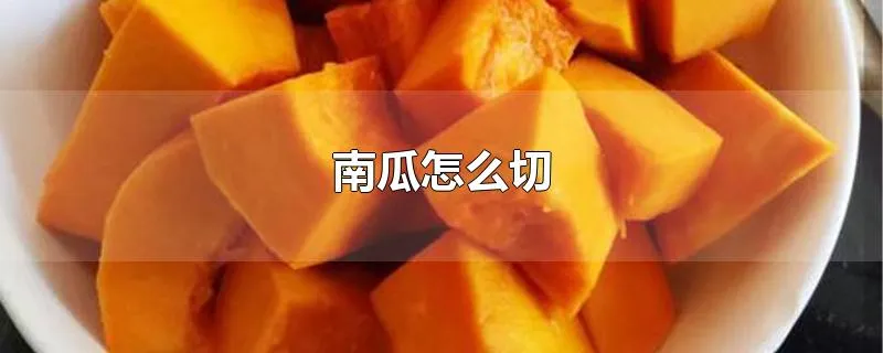 南瓜怎么切