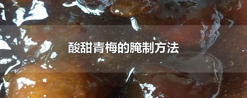 酸甜青梅的腌制方法