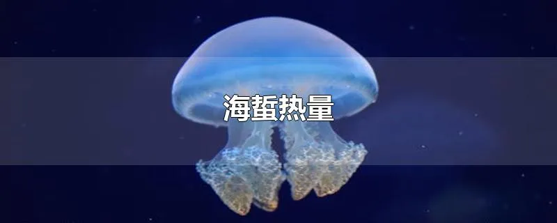 海蜇热量