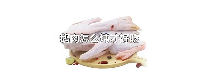 鹅肉怎么炖才好吃