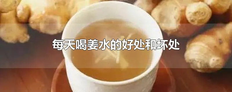 每天喝姜水的好处和坏处