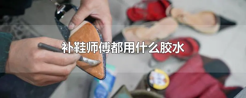 补鞋师傅都用什么胶水