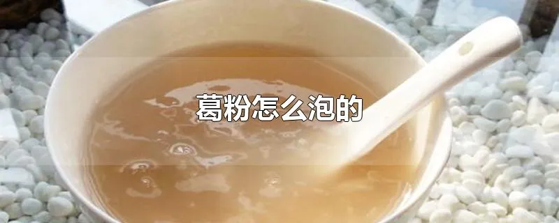 葛粉怎么泡的