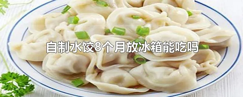 自制水饺8个月放冰箱能吃吗