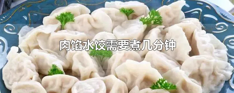 肉馅水饺需要煮几分钟