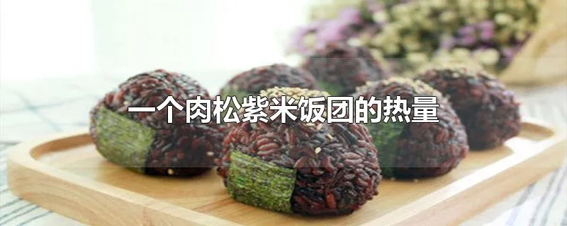 一个肉松紫米饭团的热量