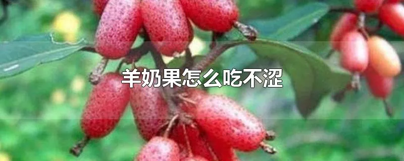 羊奶果怎么吃不涩