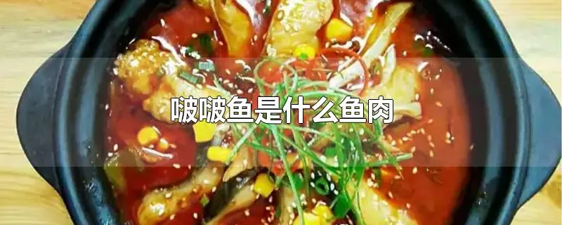 啵啵鱼是什么鱼肉