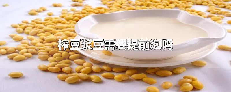 榨豆浆豆需要提前泡吗