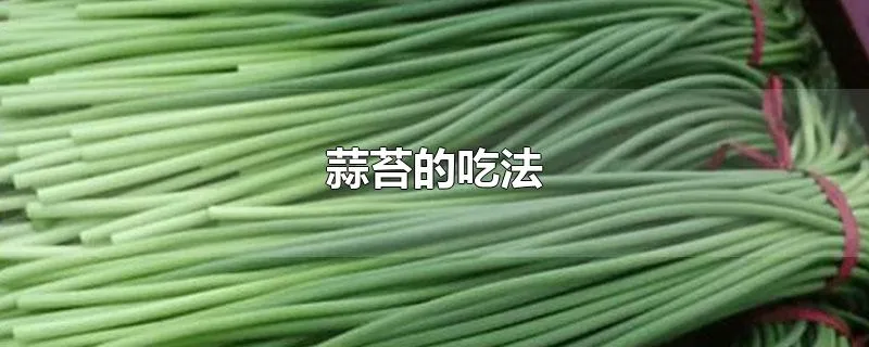 蒜苔的吃法