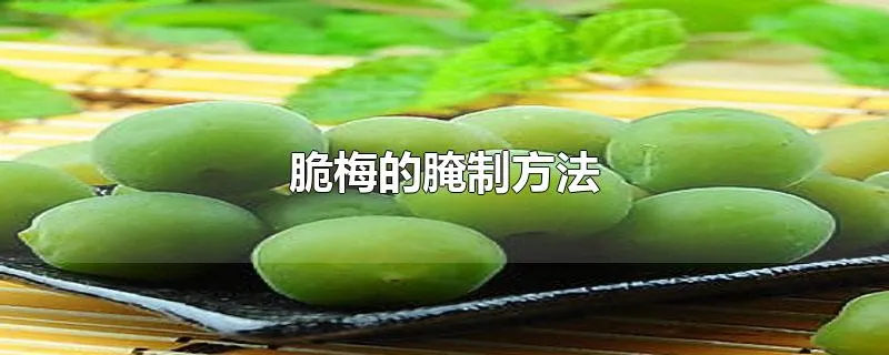 脆梅的腌制方法