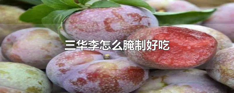 三华李怎么腌制好吃