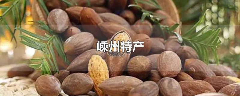 嵊州特产