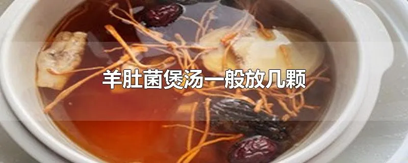 羊肚菌煲汤一般放几颗