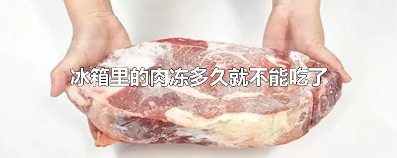 冰箱里的肉冻多久就不能吃了