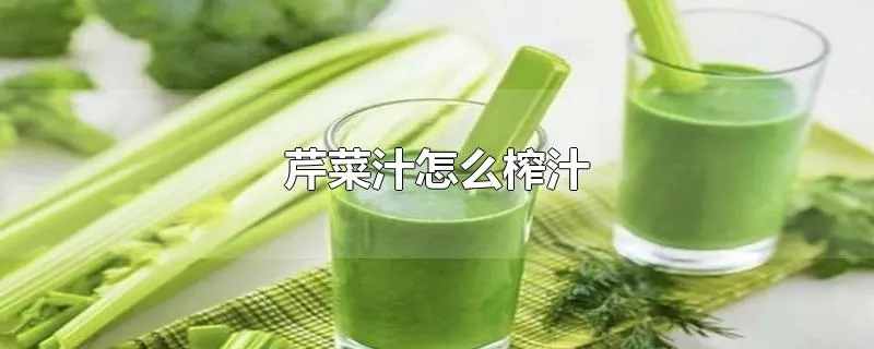 芹菜汁怎么榨汁