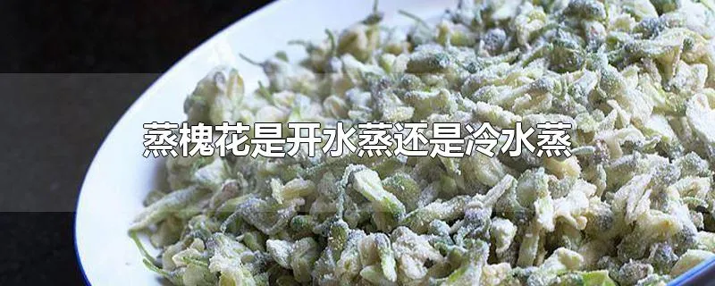 蒸槐花是开水蒸还是冷水蒸