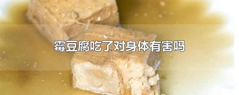 霉豆腐吃了对身体有害吗