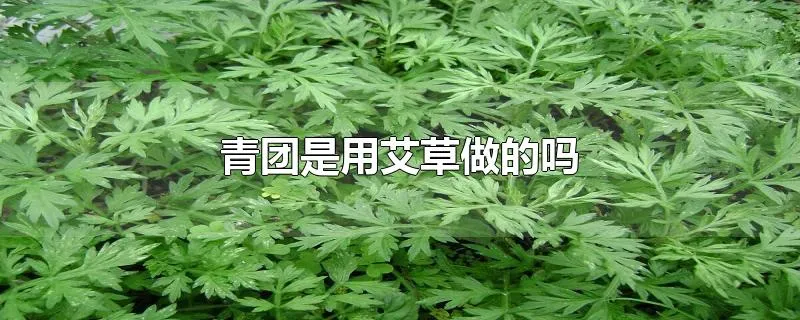 青团是用艾草做的吗