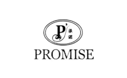 承诺PROMISE