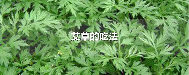 艾草的吃法