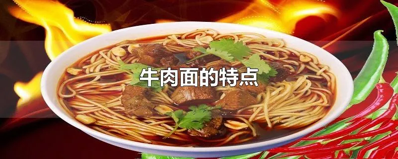 牛肉面的特点