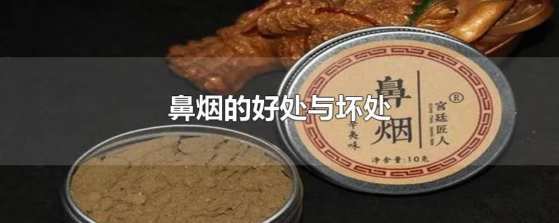 鼻烟的好处与坏处