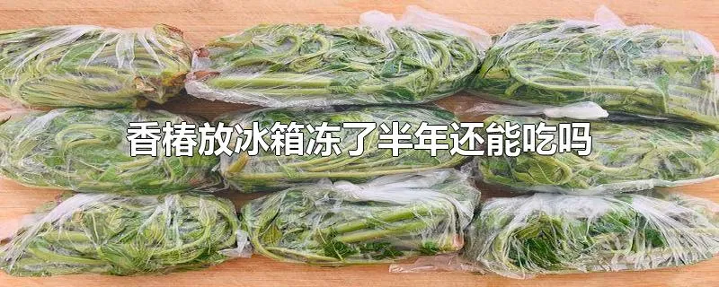 香椿放冰箱冻了半年还能吃吗