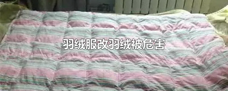 羽绒服改羽绒被危害