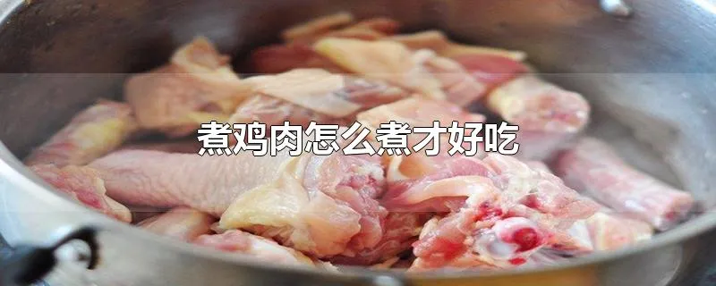 煮鸡肉怎么煮才好吃