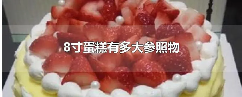 8寸蛋糕有多大参照物