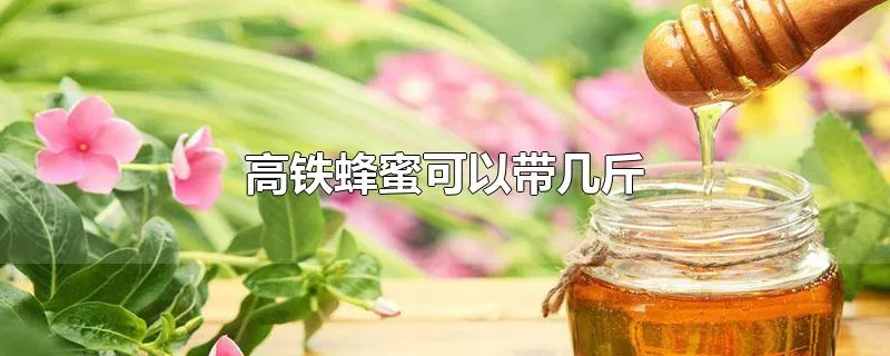 高铁蜂蜜可以带几斤