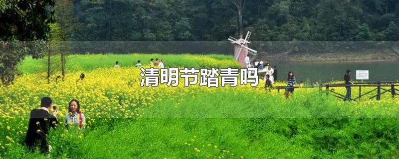 清明节踏青吗