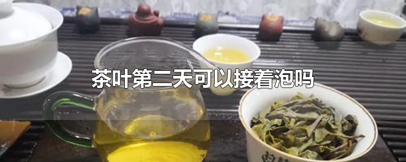 茶叶第二天可以接着泡吗