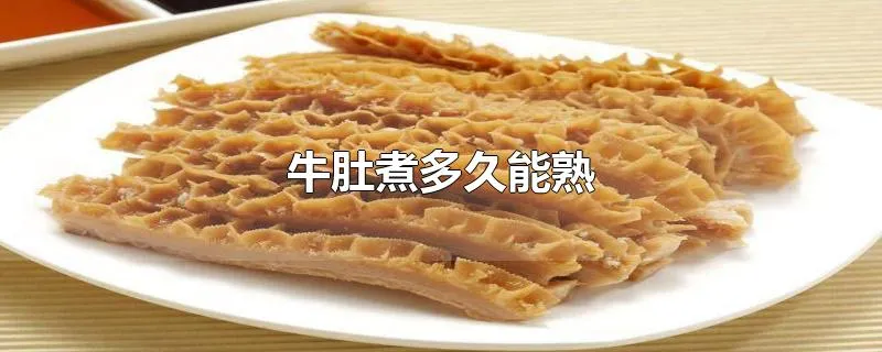 牛肚煮多久能熟