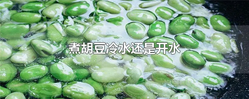 煮胡豆冷水还是开水