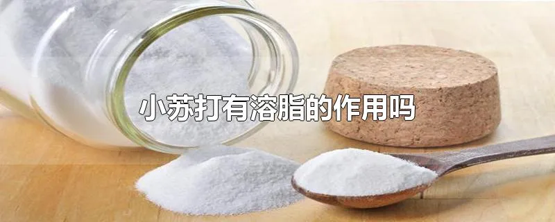 小苏打有溶脂的作用吗