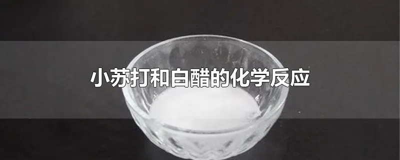 小苏打和白醋的化学反应