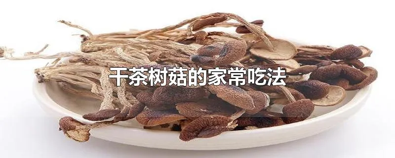 干茶树菇的家常吃法