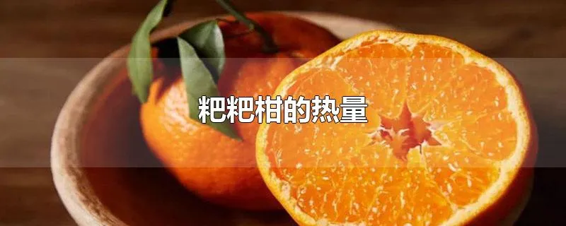 粑粑柑的热量