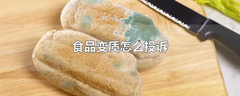 食品变质怎么投诉