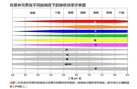 养花技巧|如何调整盆栽土壤PH值