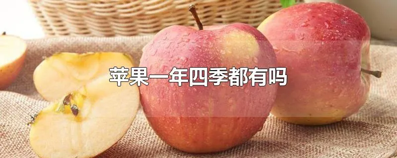 苹果一年四季都有吗