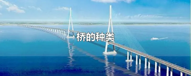 桥的种类