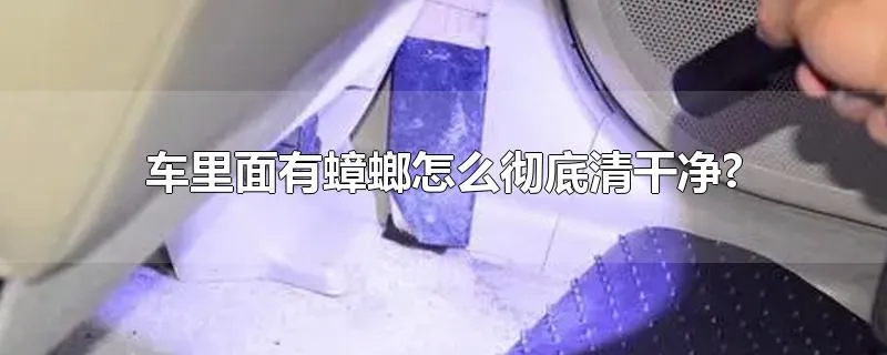 车里面有蟑螂怎么彻底清干净?