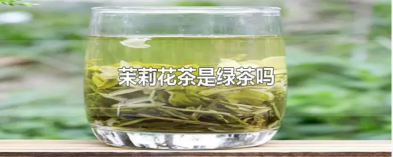 茉莉花茶是绿茶吗