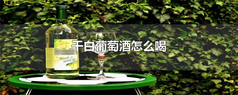 干白葡萄酒怎么喝