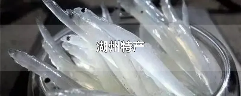 湖州特产