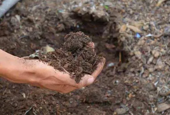 自制花肥最简单的方法，10种简单又有效的养花肥秘方