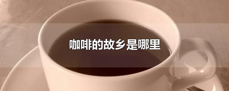 咖啡的故乡是哪里